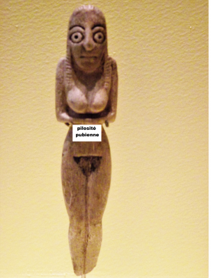 Pilosité pubienne Nagada I.png (16.12 Mio) Consulté 30982 fois pilosité pubienne Nagada I