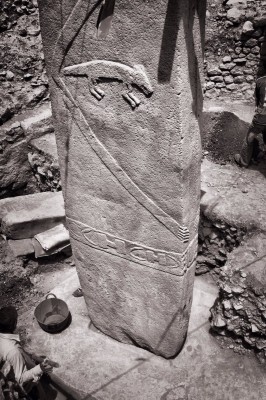 index_html_30a9a8ec5c69e6dd (1).jpg