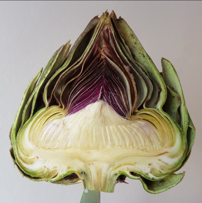 Artichaut coeur WKM.PNG (1.23 Mio) Consulté 17192 fois Photo WKM